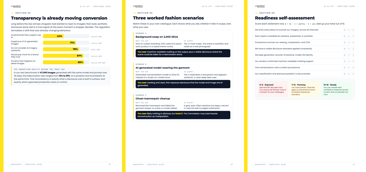 Preview of the EU AI Act guide: data, scenarios, and self-assessment pages